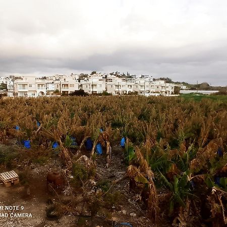 Paphos Blue Seaview Appartments מראה חיצוני תמונה