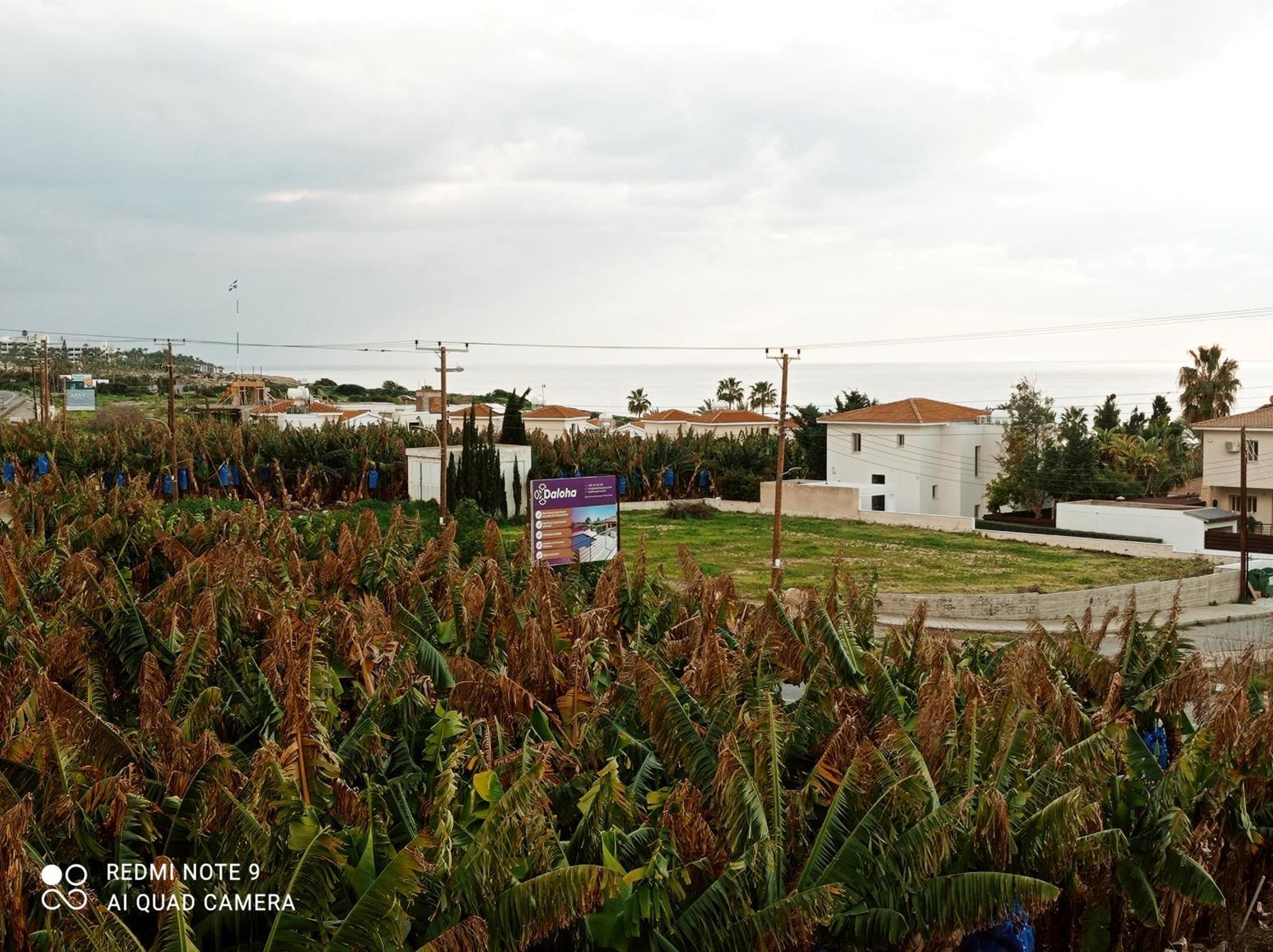 Paphos Blue Seaview Appartments מראה חיצוני תמונה