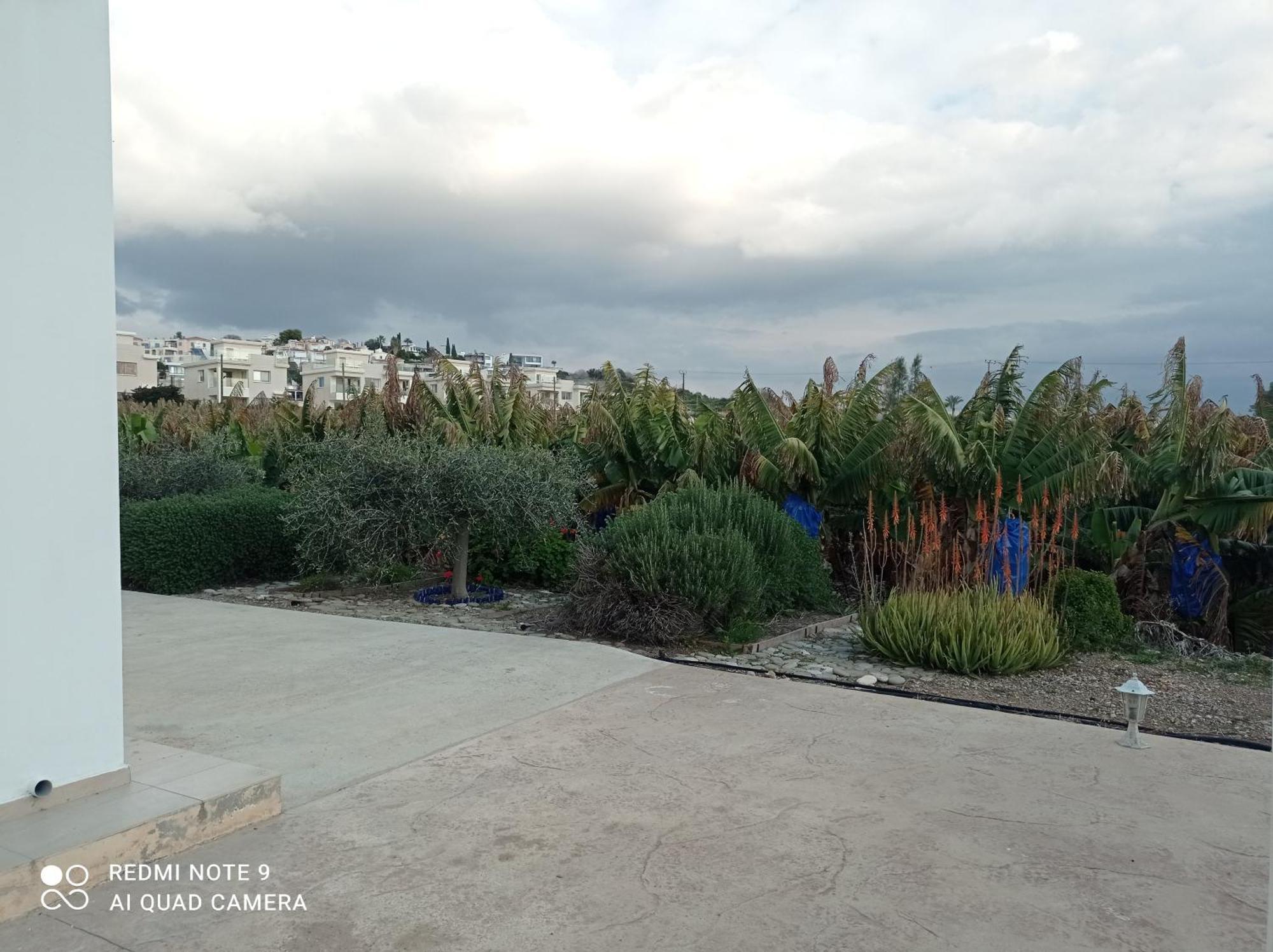 Paphos Blue Seaview Appartments מראה חיצוני תמונה