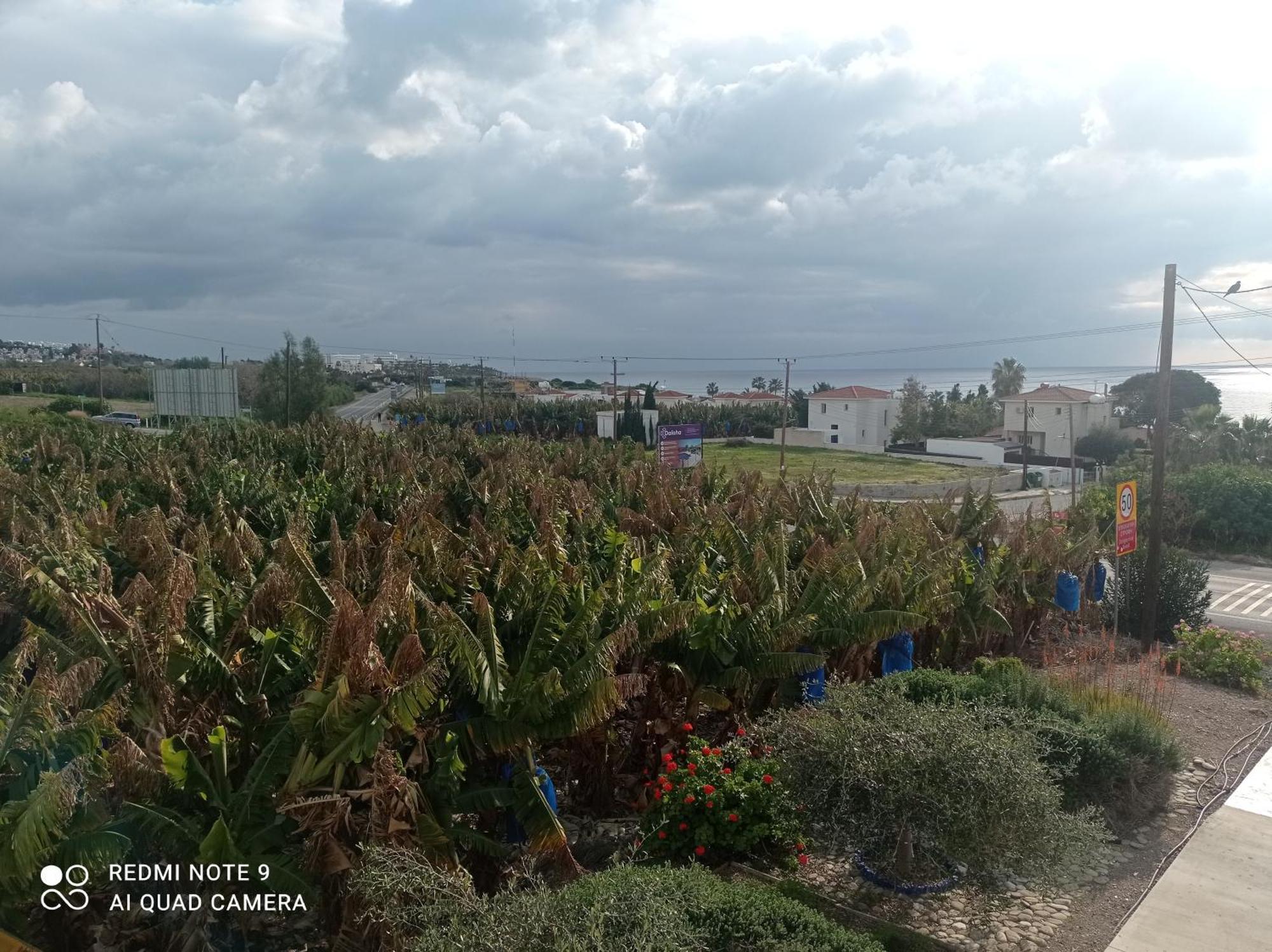 Paphos Blue Seaview Appartments מראה חיצוני תמונה